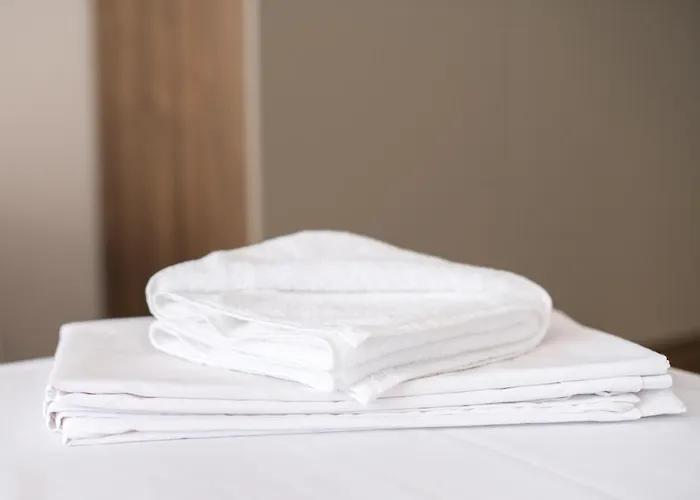 Cinema 4* 프리모르스코